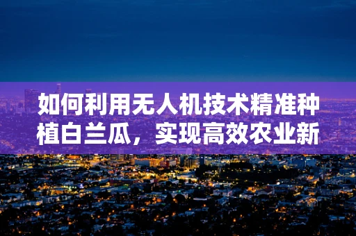 如何利用无人机技术精准种植白兰瓜，实现高效农业新篇章？