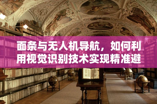 面条与无人机导航，如何利用视觉识别技术实现精准避障？