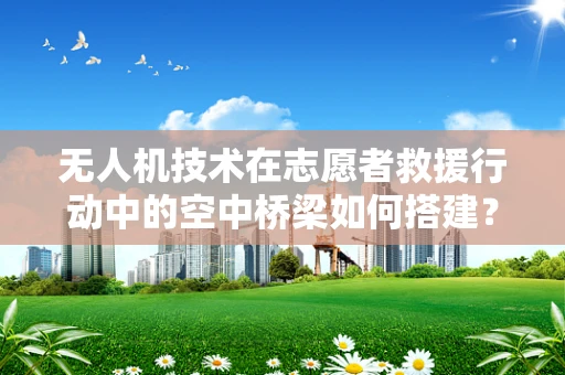 无人机技术在志愿者救援行动中的空中桥梁如何搭建？
