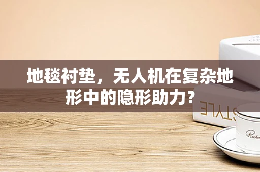 地毯衬垫，无人机在复杂地形中的隐形助力？