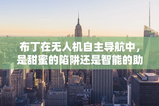 布丁在无人机自主导航中，是甜蜜的陷阱还是智能的助力？
