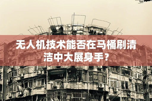 无人机技术能否在马桶刷清洁中大展身手？