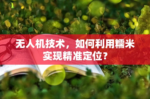 无人机技术，如何利用糯米实现精准定位？
