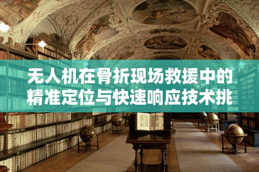 无人机在骨折现场救援中的精准定位与快速响应技术挑战