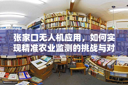 张家口无人机应用，如何实现精准农业监测的挑战与对策？