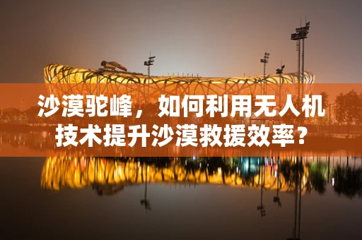 沙漠驼峰，如何利用无人机技术提升沙漠救援效率？