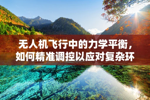 无人机飞行中的力学平衡，如何精准调控以应对复杂环境？