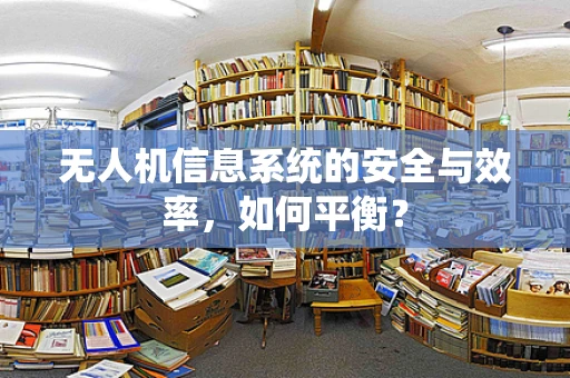 无人机信息系统的安全与效率，如何平衡？