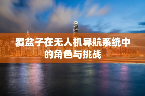 覆盆子在无人机导航系统中的角色与挑战