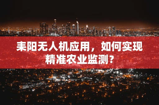 耒阳无人机应用，如何实现精准农业监测？