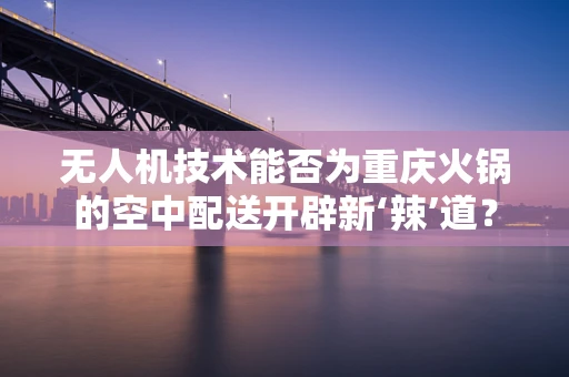 无人机技术能否为重庆火锅的空中配送开辟新‘辣’道？