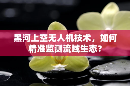 黑河上空无人机技术，如何精准监测流域生态？