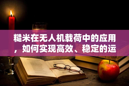 糙米在无人机载荷中的应用，如何实现高效、稳定的运输？