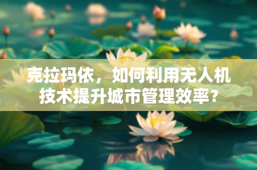 克拉玛依，如何利用无人机技术提升城市管理效率？