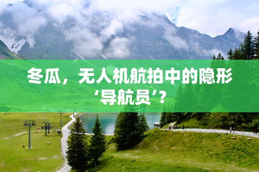 冬瓜，无人机航拍中的隐形‘导航员’？