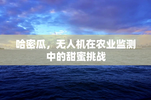 哈密瓜，无人机在农业监测中的甜蜜挑战