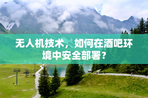 无人机技术，如何在酒吧环境中安全部署？