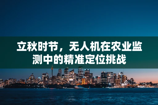 立秋时节，无人机在农业监测中的精准定位挑战