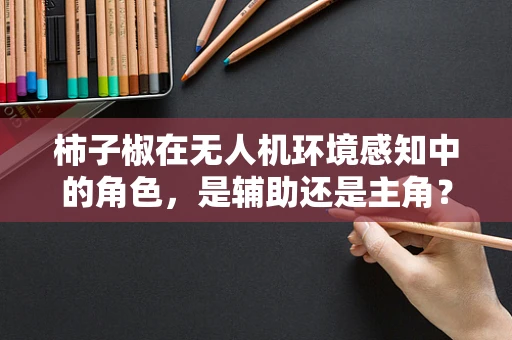 柿子椒在无人机环境感知中的角色，是辅助还是主角？