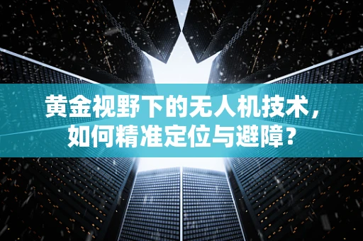 黄金视野下的无人机技术，如何精准定位与避障？