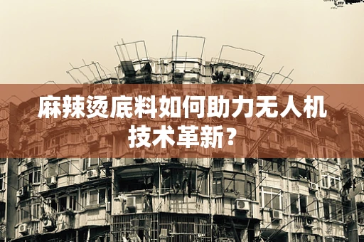 麻辣烫底料如何助力无人机技术革新？