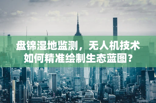 盘锦湿地监测，无人机技术如何精准绘制生态蓝图？