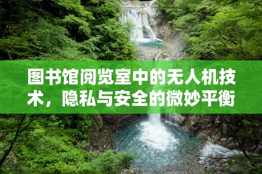 图书馆阅览室中的无人机技术，隐私与安全的微妙平衡