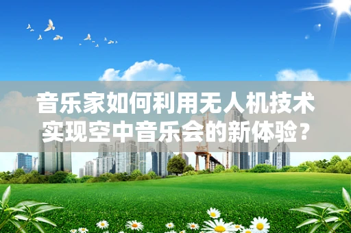 音乐家如何利用无人机技术实现空中音乐会的新体验？