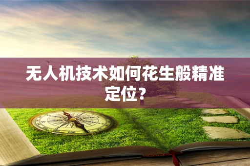 无人机技术如何花生般精准定位？