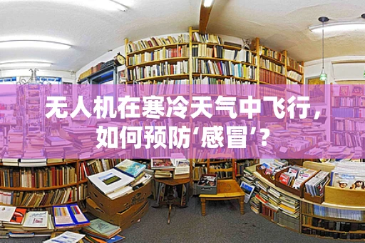 无人机在寒冷天气中飞行，如何预防‘感冒’？