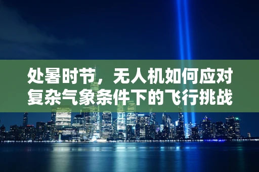 处暑时节，无人机如何应对复杂气象条件下的飞行挑战？