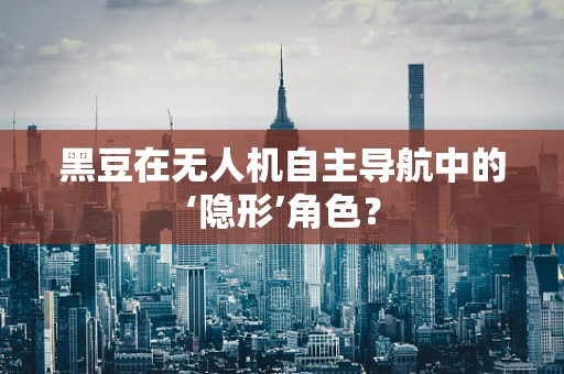 黑豆在无人机自主导航中的‘隐形’角色？