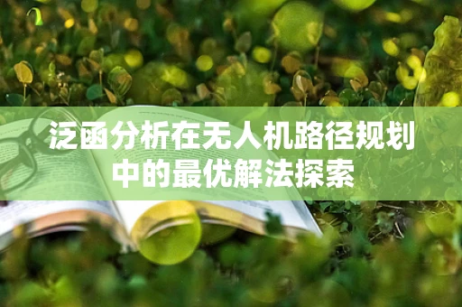 泛函分析在无人机路径规划中的最优解法探索