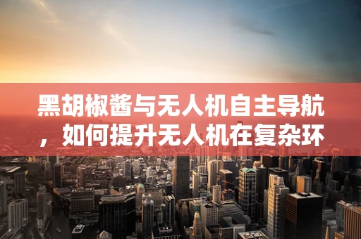 黑胡椒酱与无人机自主导航，如何提升无人机在复杂环境中的精准定位？
