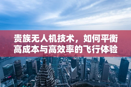 贵族无人机技术，如何平衡高成本与高效率的飞行体验？