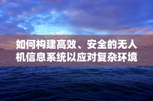 如何构建高效、安全的无人机信息系统以应对复杂环境挑战？