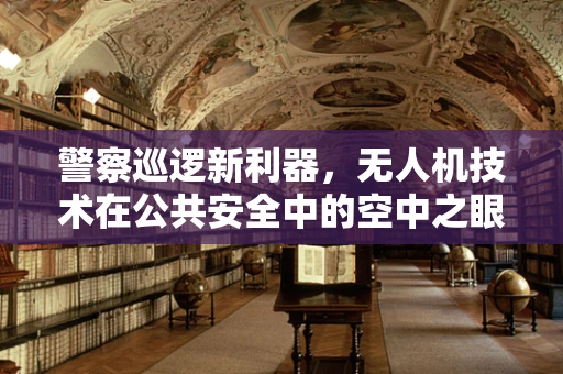 警察巡逻新利器，无人机技术在公共安全中的空中之眼