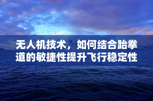 无人机技术，如何结合跆拳道的敏捷性提升飞行稳定性？