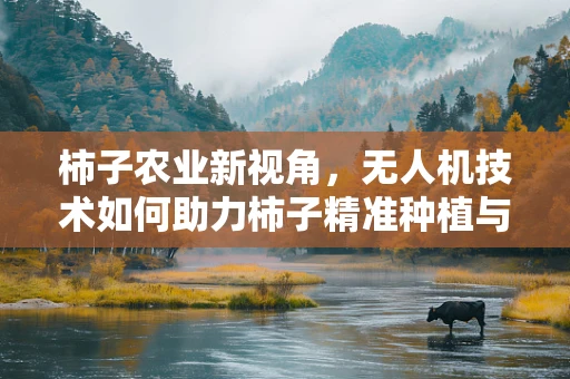 柿子农业新视角，无人机技术如何助力柿子精准种植与监测？