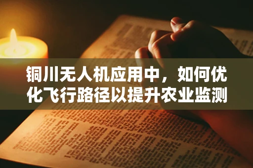 铜川无人机应用中，如何优化飞行路径以提升农业监测效率？