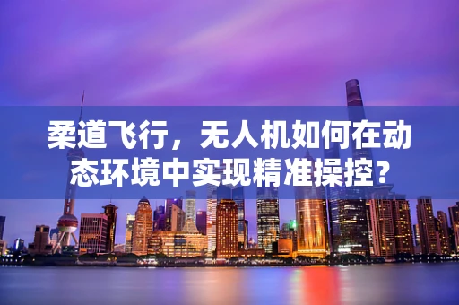 柔道飞行，无人机如何在动态环境中实现精准操控？