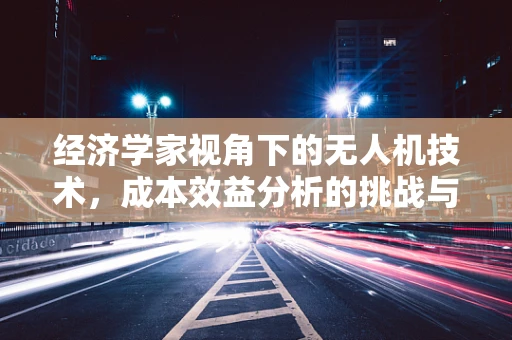 经济学家视角下的无人机技术，成本效益分析的挑战与机遇
