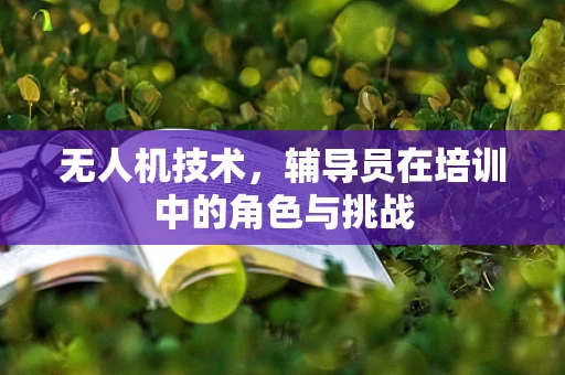 无人机技术，辅导员在培训中的角色与挑战