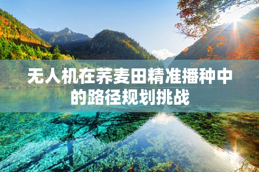 无人机在荞麦田精准播种中的路径规划挑战