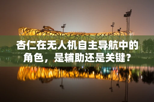 杏仁在无人机自主导航中的角色，是辅助还是关键？