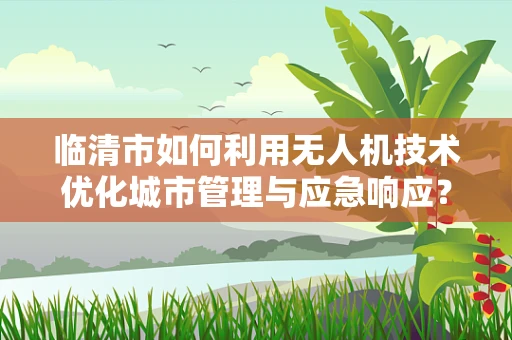 临清市如何利用无人机技术优化城市管理与应急响应？