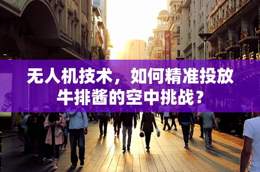 无人机技术，如何精准投放牛排酱的空中挑战？