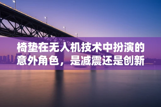 椅垫在无人机技术中扮演的意外角色，是减震还是创新应用？