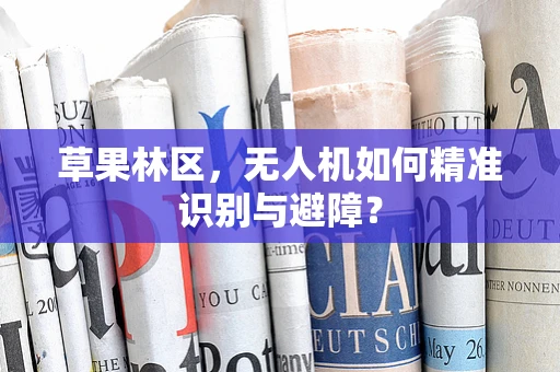 草果林区，无人机如何精准识别与避障？