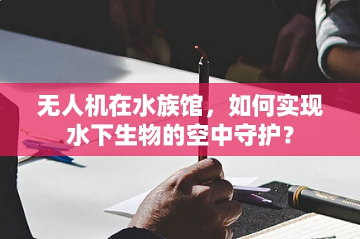 无人机在水族馆，如何实现水下生物的空中守护？
